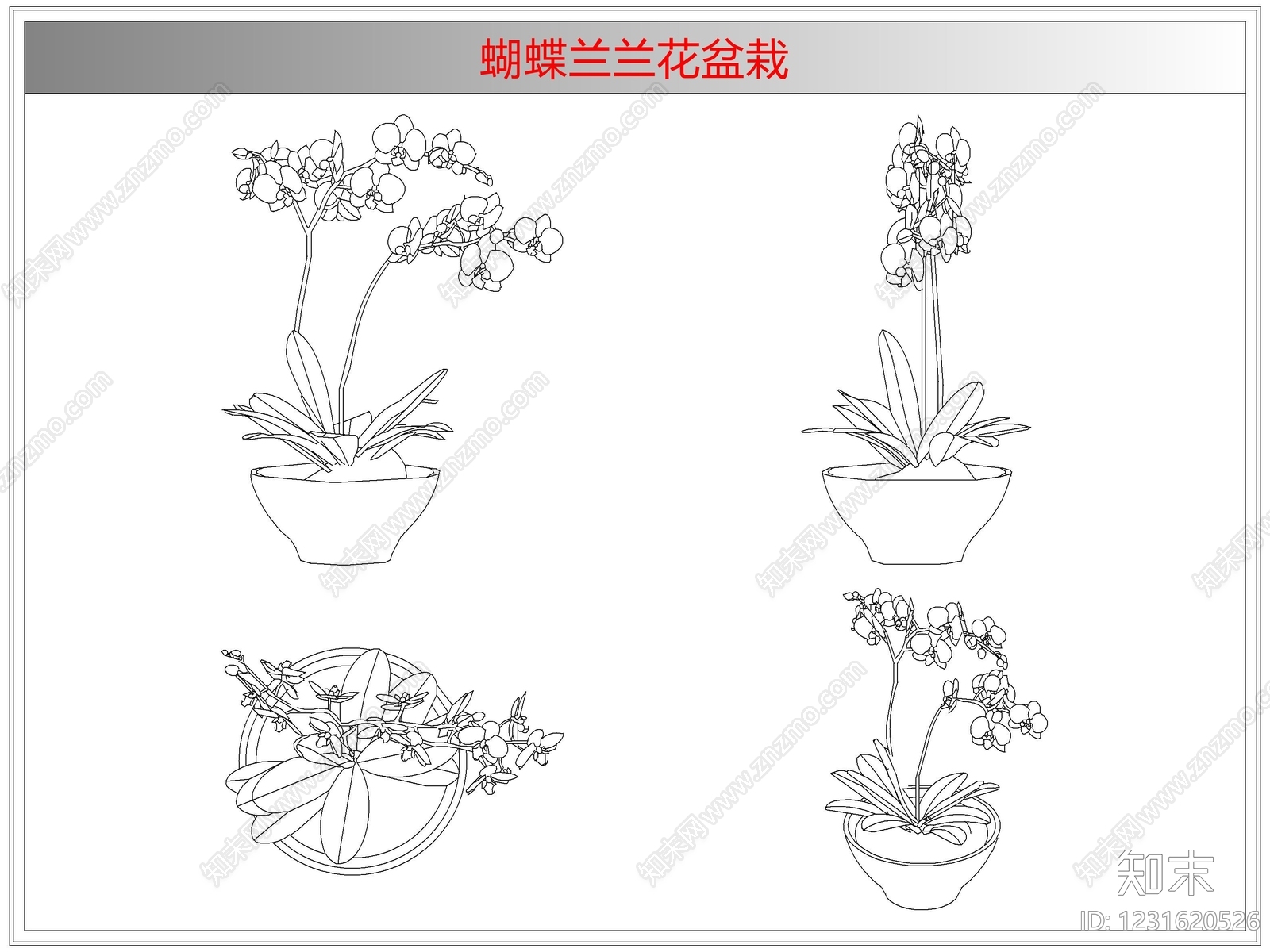 综合植物图库cad施工图下载【ID:1231620526】