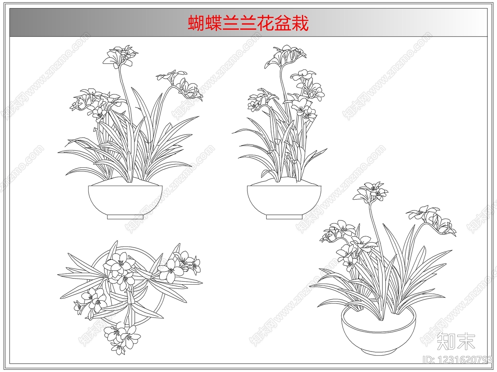 综合植物图库cad施工图下载【ID:1231620793】
