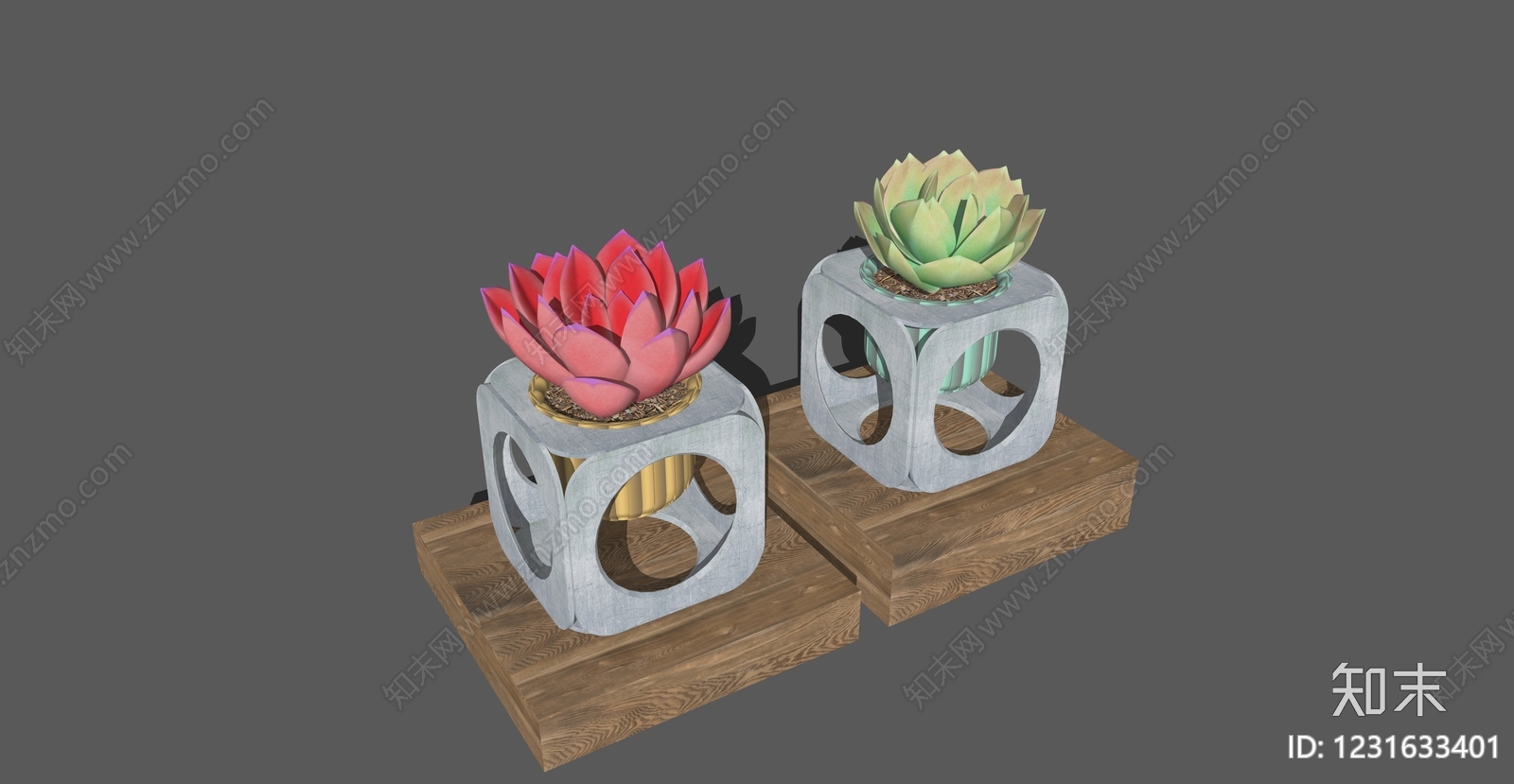 现代简约多肉植物SU模型下载【ID:1231633401】