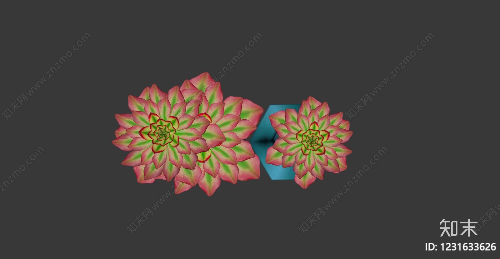 现代简约多肉植物SU模型下载【ID:1231633626】