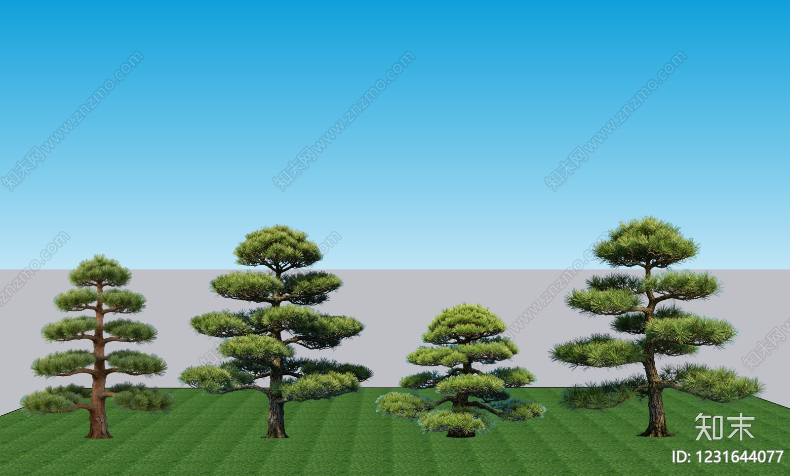 禅意乔木SU模型下载【ID:1231644077】