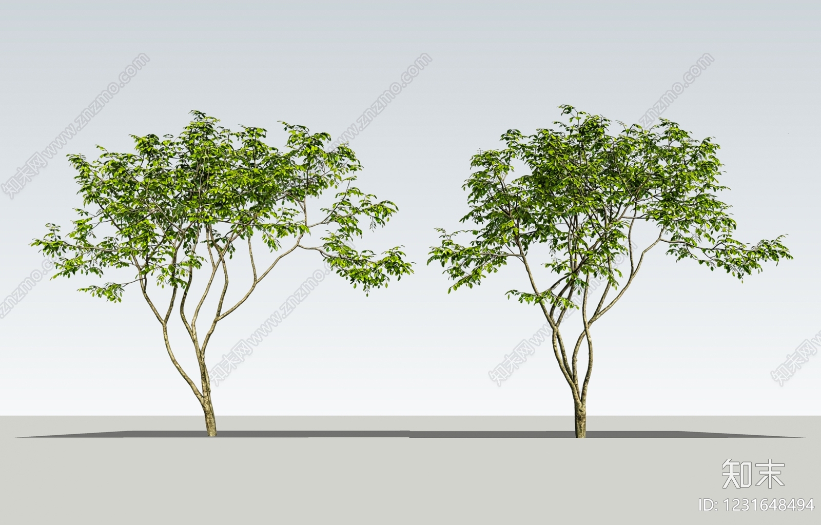 极简乔木SU模型下载【ID:1231648494】