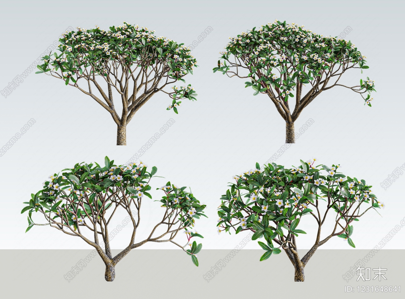 乔木SU模型下载【ID:1231648641】