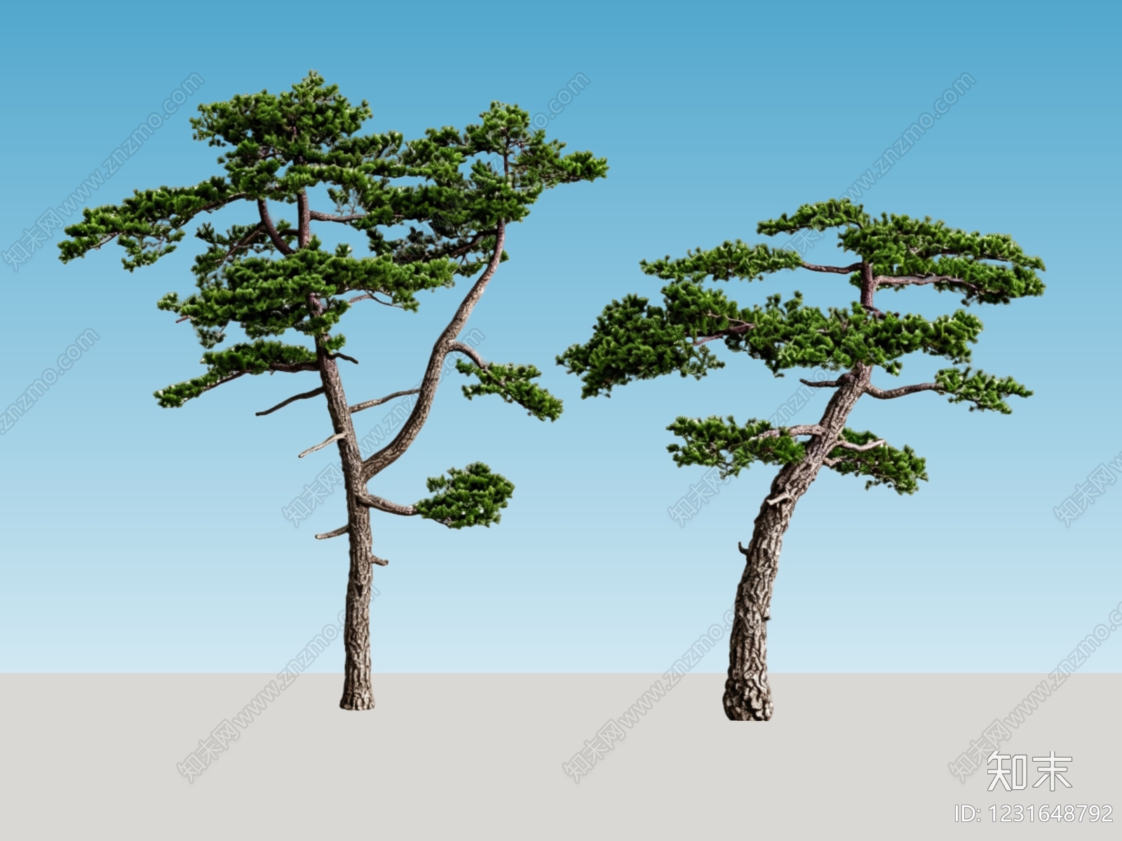 新中式景观乔木SU模型下载【ID:1231648792】