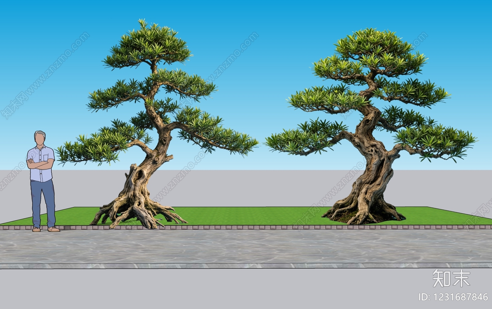 中式乔木SU模型下载【ID:1231687846】