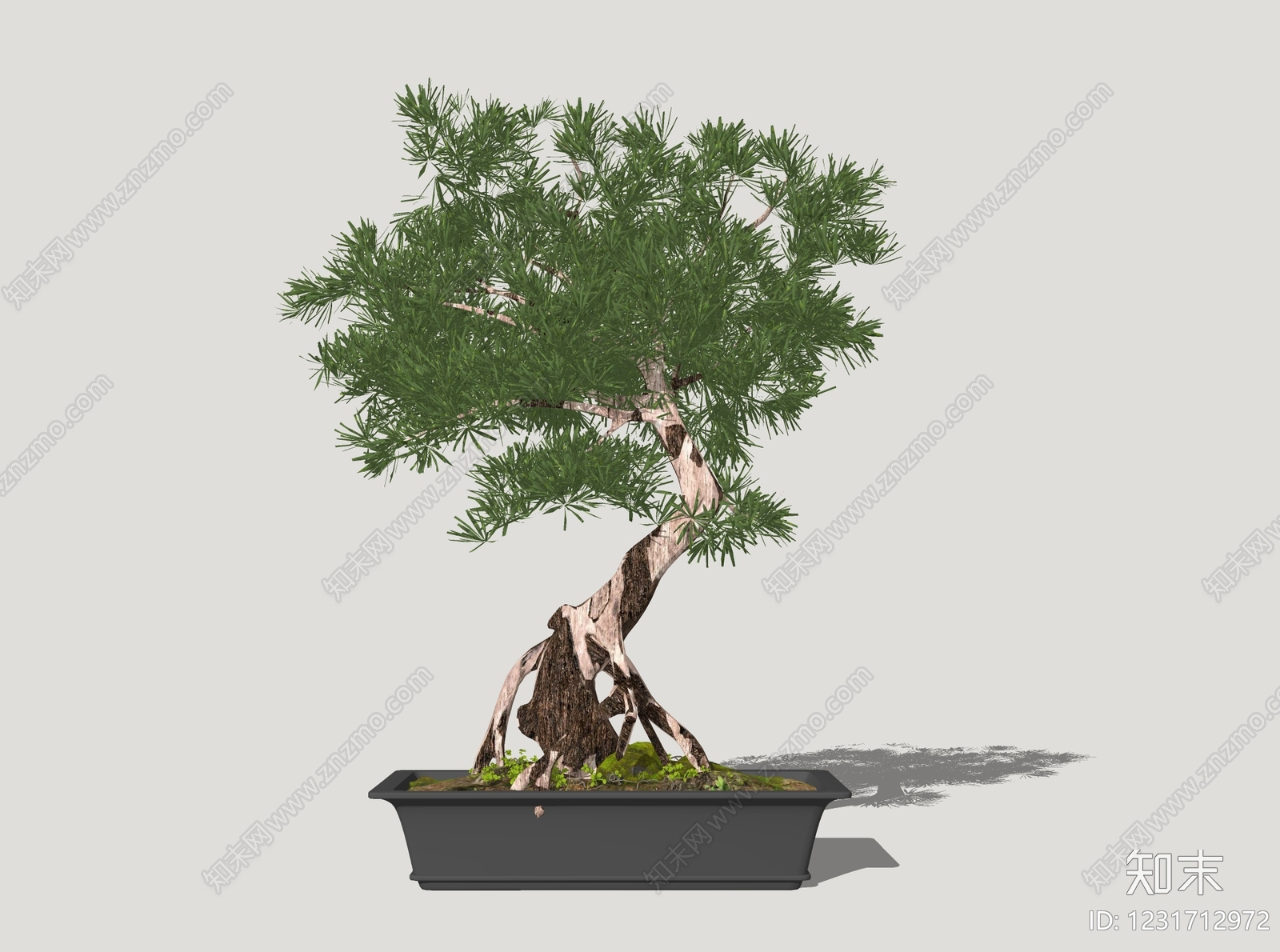 禅意盆栽SU模型下载【ID:1231712972】
