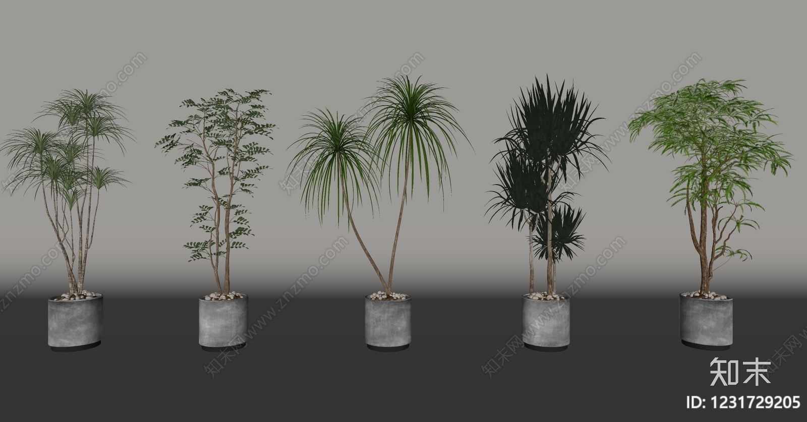 现代简约盆栽SU模型下载【ID:1231729205】