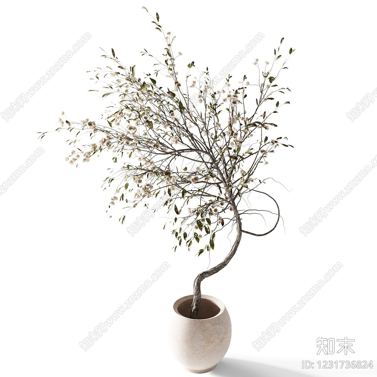 侘寂盆景3D模型下载【ID:1231736824】