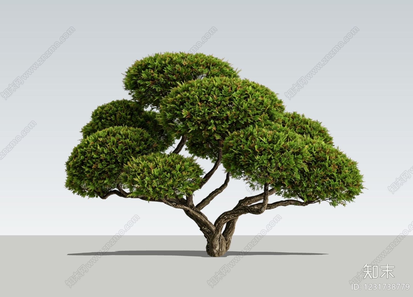 禅意灌木SU模型下载【ID:1231738779】