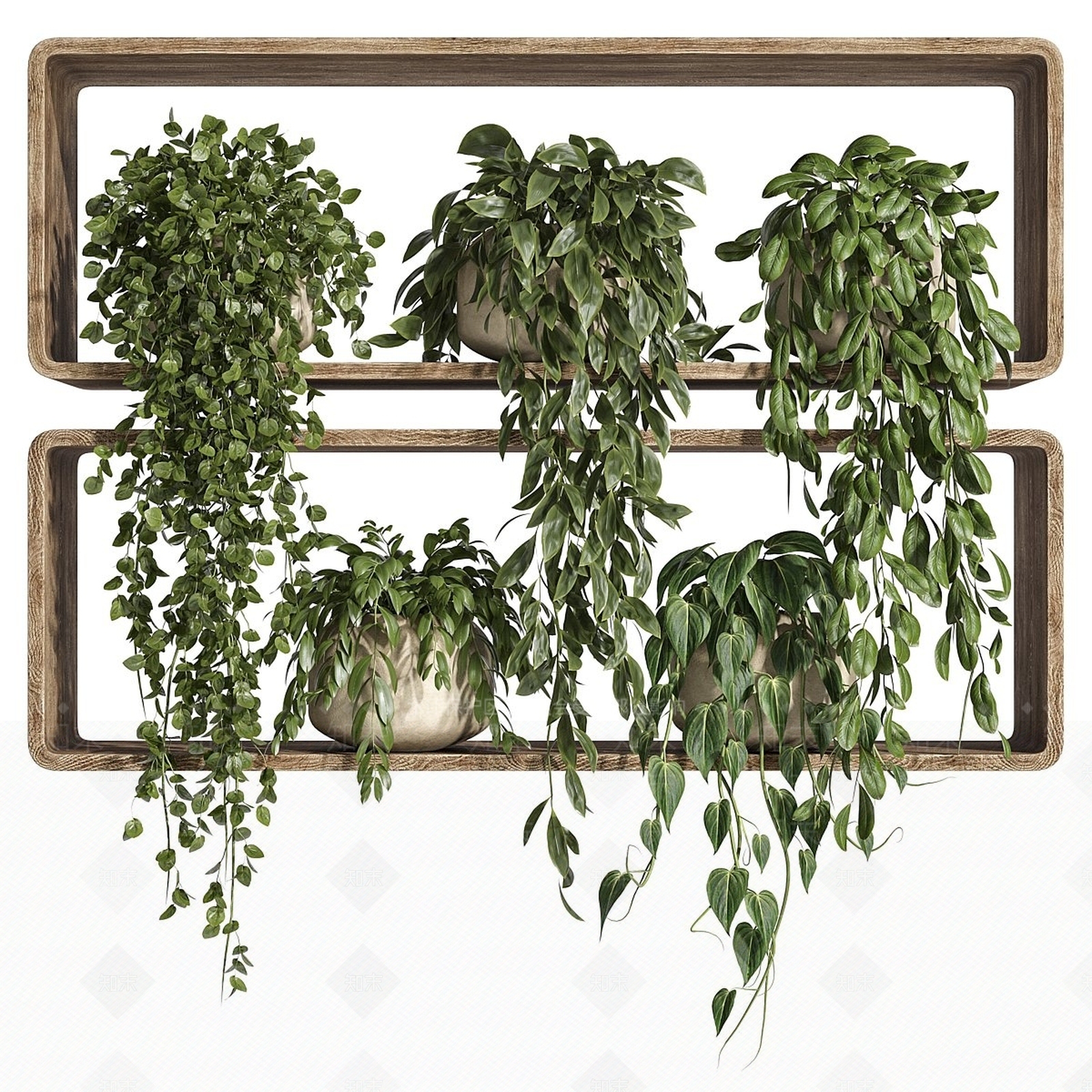 原木风藤蔓3D模型下载【ID:1231747578】