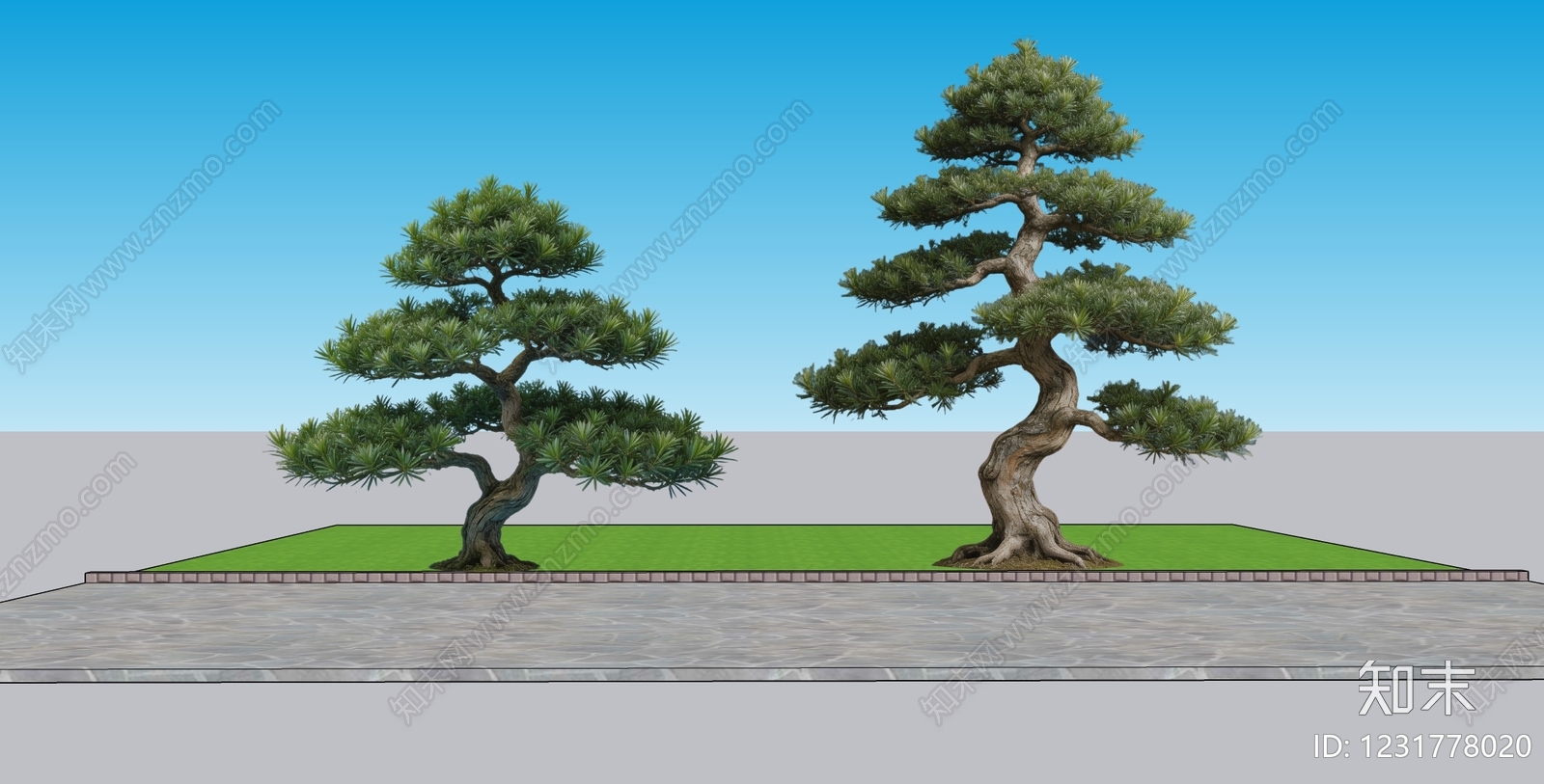 日式乔木SU模型下载【ID:1231778020】
