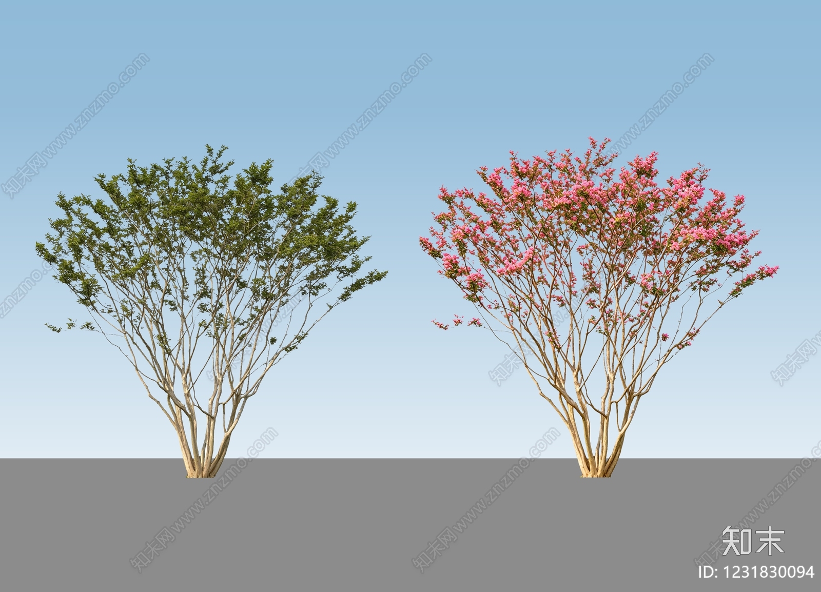 灌木SU模型下载【ID:1231830094】