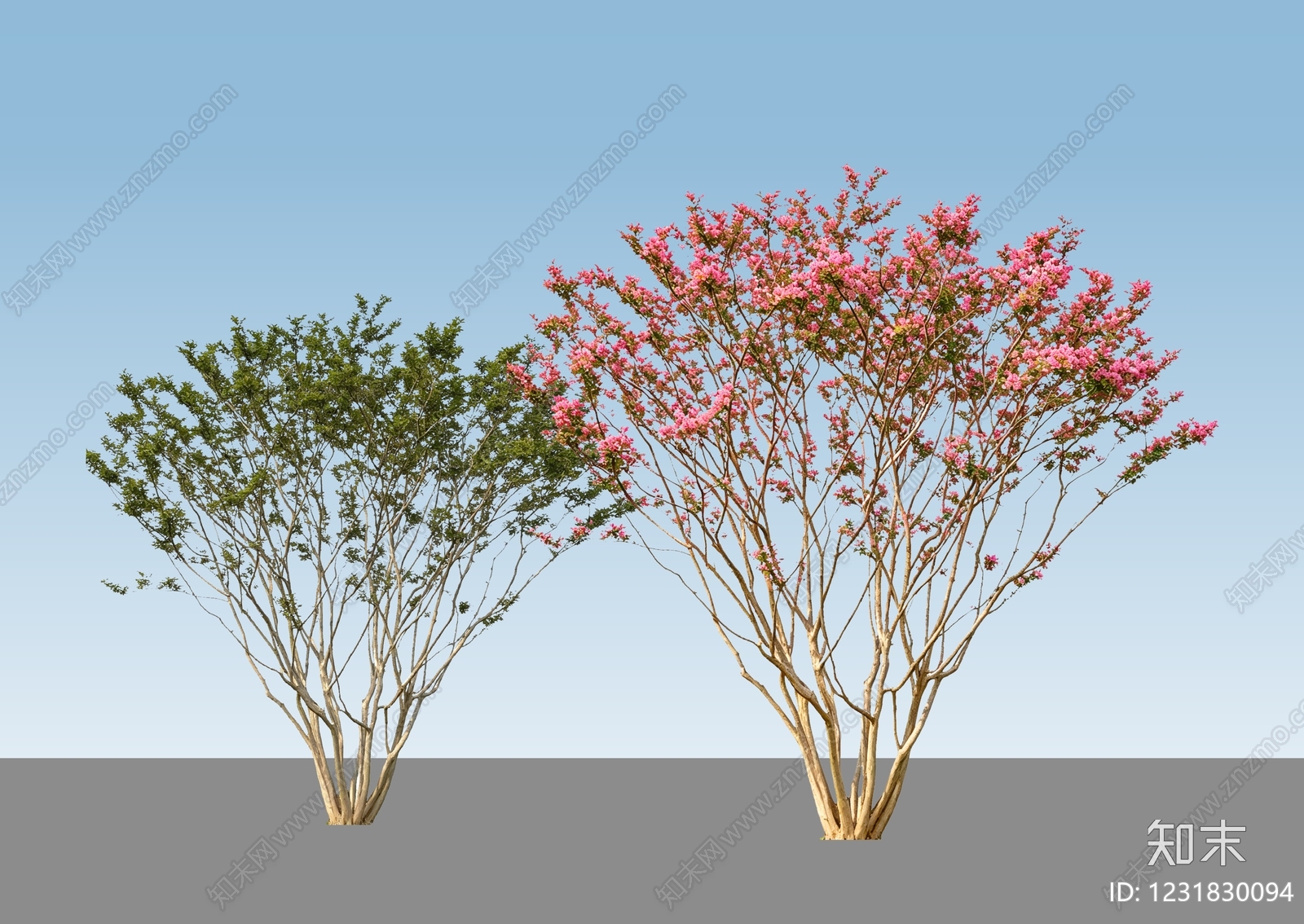 灌木SU模型下载【ID:1231830094】