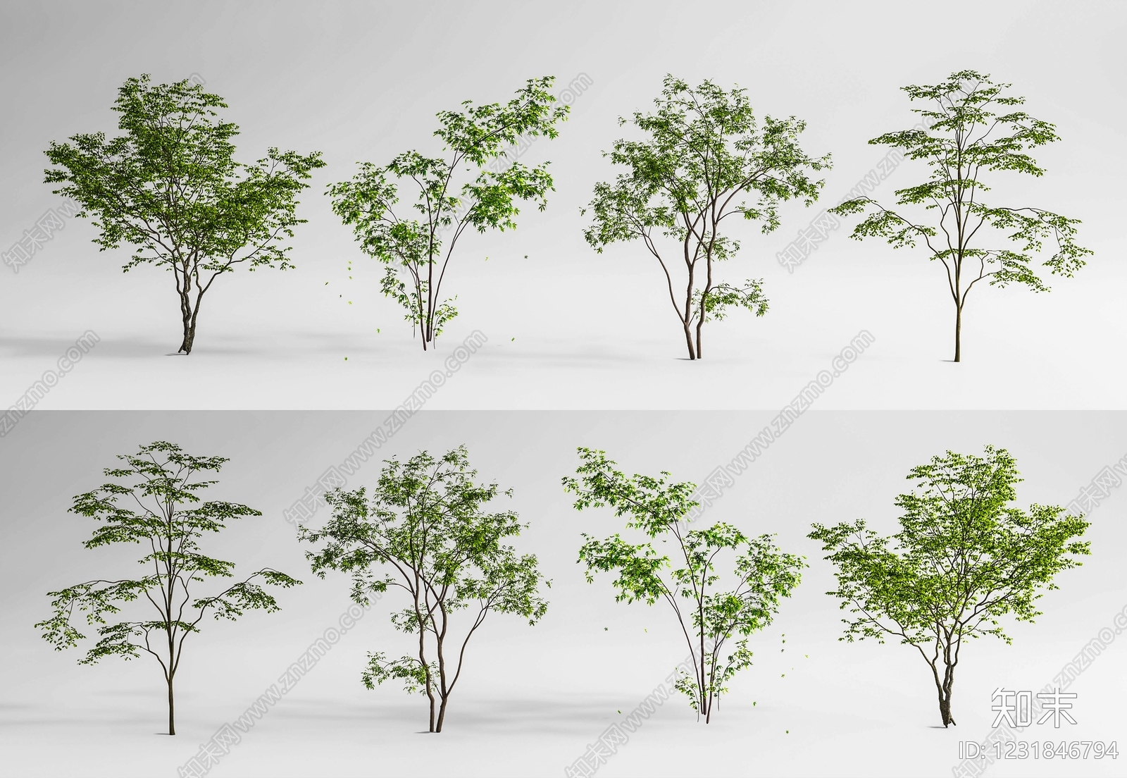 极简花境3D模型下载【ID:1231846794】