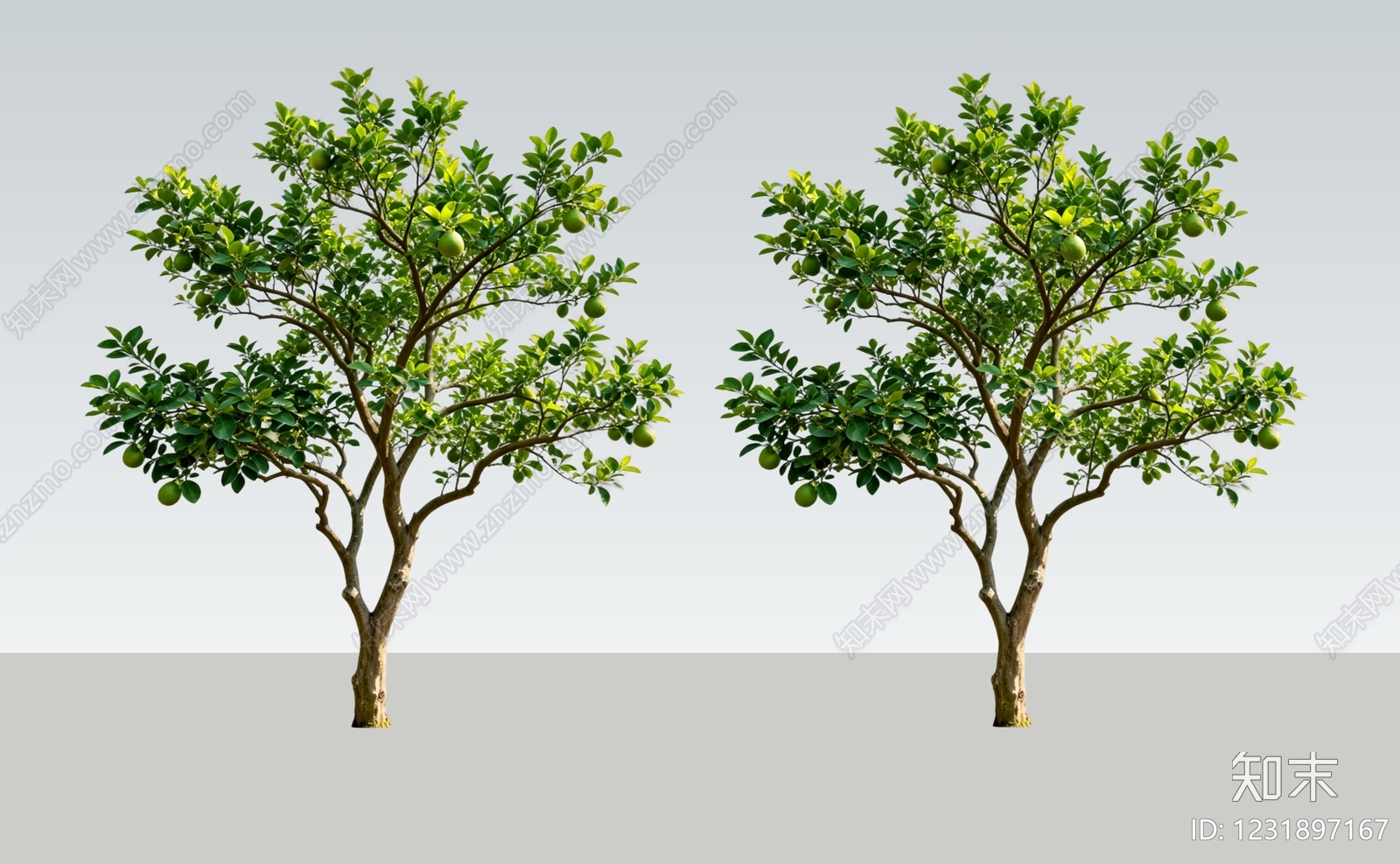 乔木SU模型下载【ID:1231897167】