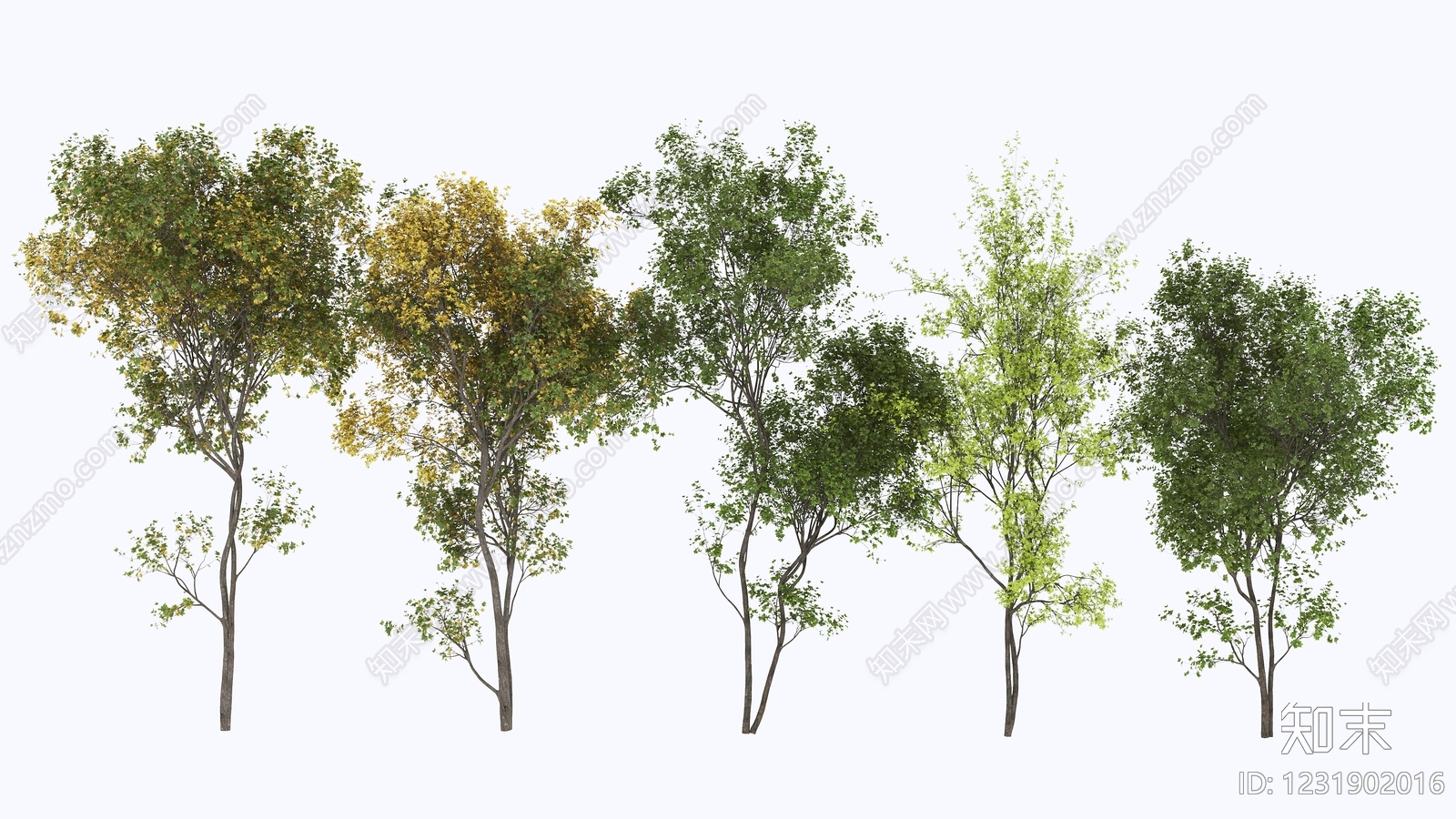 现代主义乔木3D模型下载【ID:1231902016】