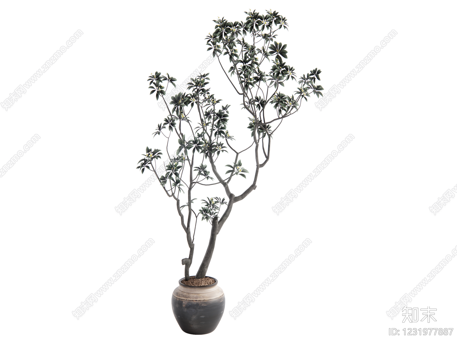 侘寂盆栽SU模型下载【ID:1231977887】