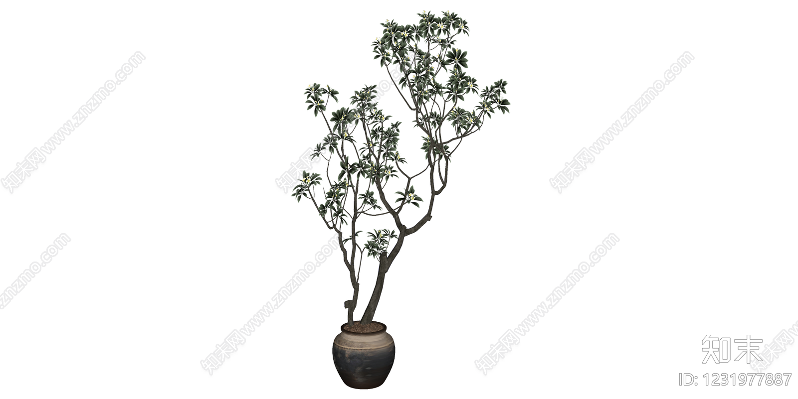 侘寂盆栽SU模型下载【ID:1231977887】