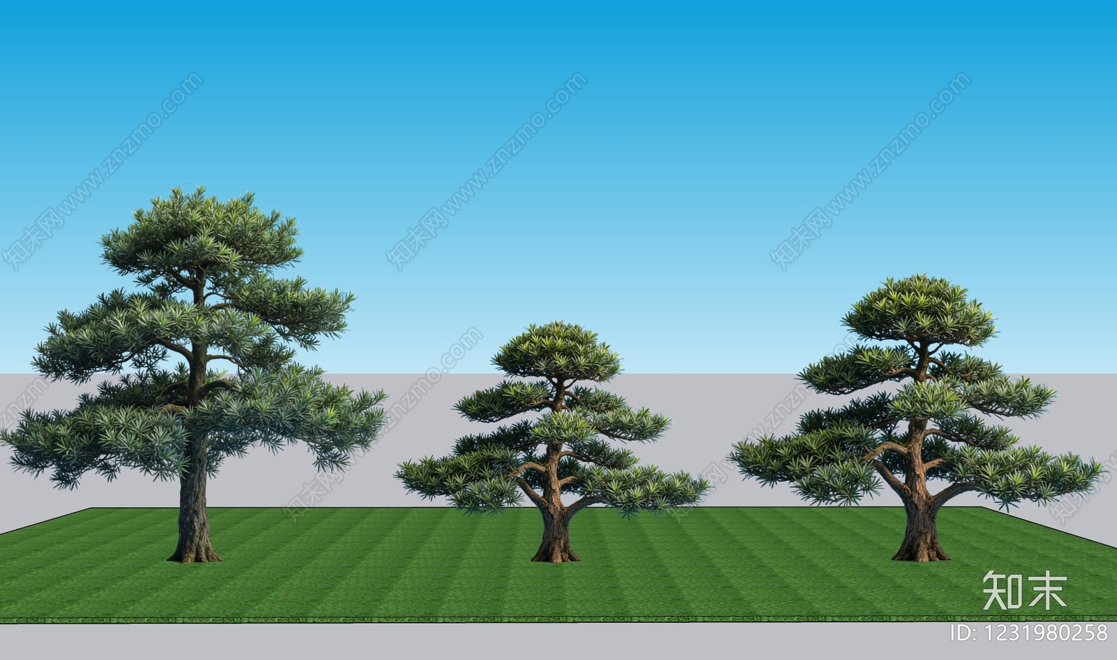 禅意乔木SU模型下载【ID:1231980258】