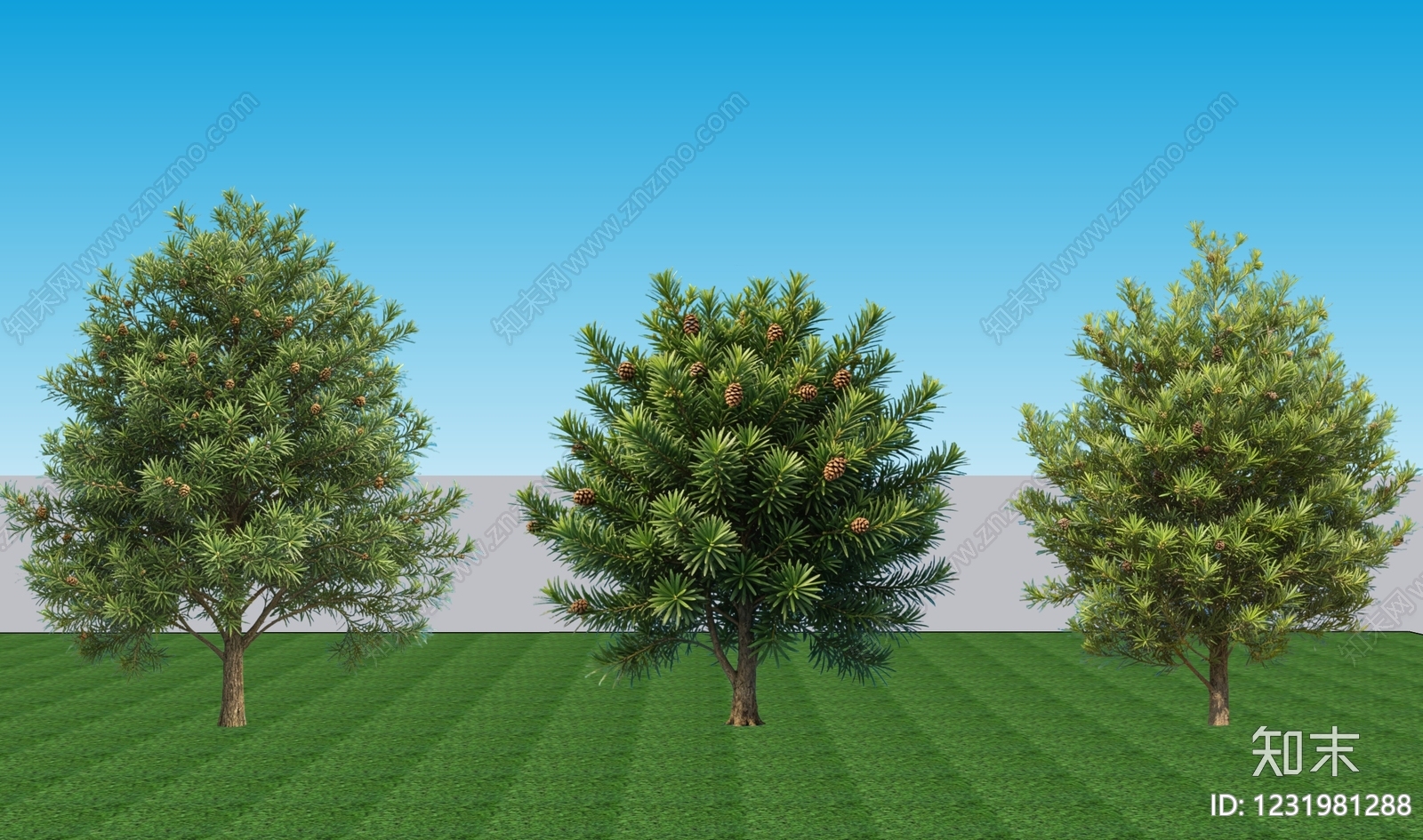 现代主义乔木SU模型下载【ID:1231981288】
