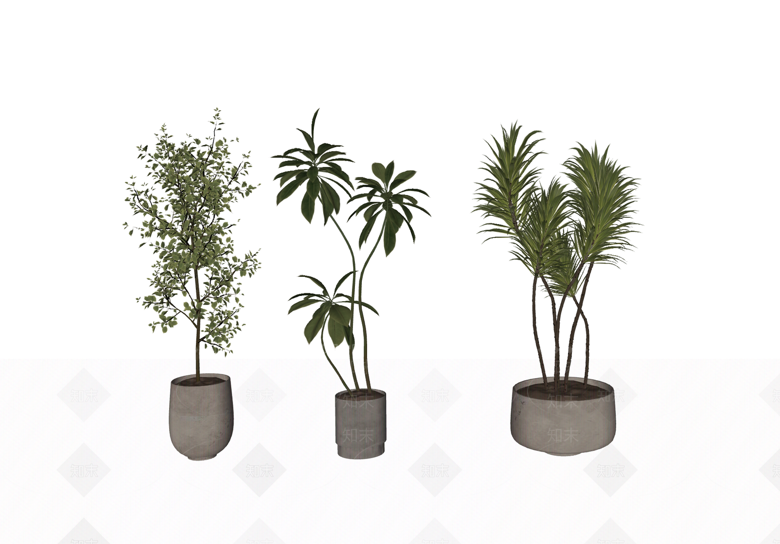 现代简约绿植摆件SU模型下载【ID:1232027826】