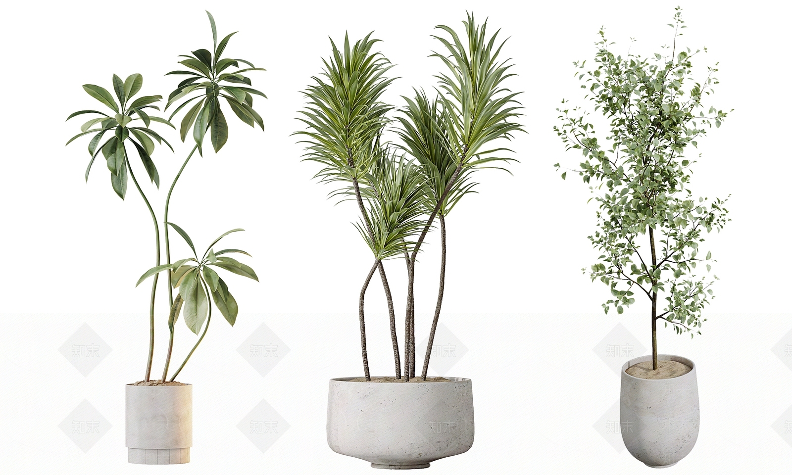现代简约绿植摆件SU模型下载【ID:1232027826】