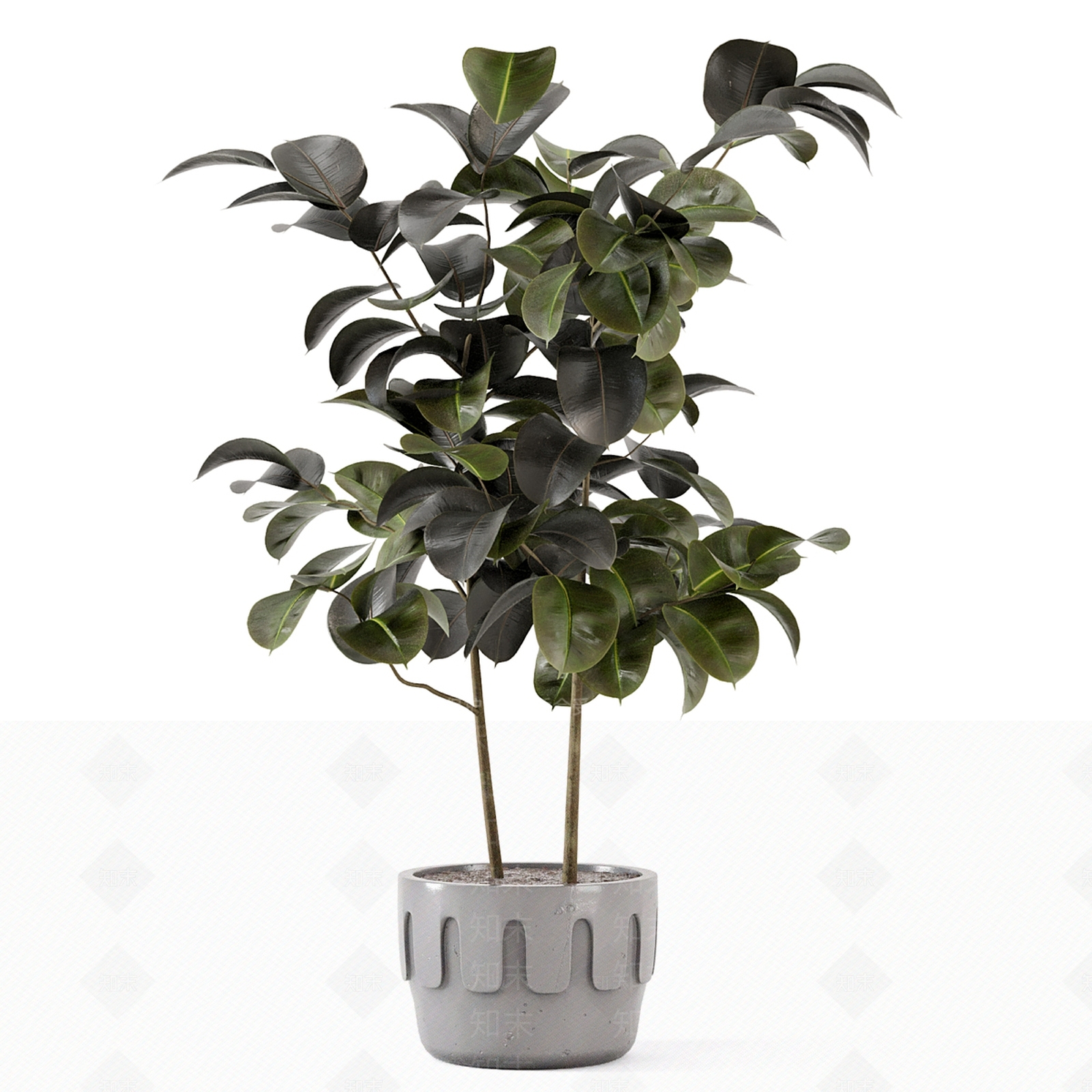 现代盆栽3D模型下载【ID:1232130644】