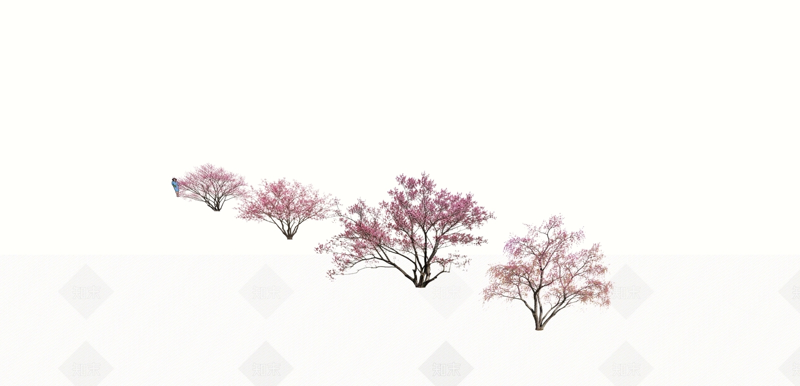 乔木2DSU模型下载【ID:1232135853】