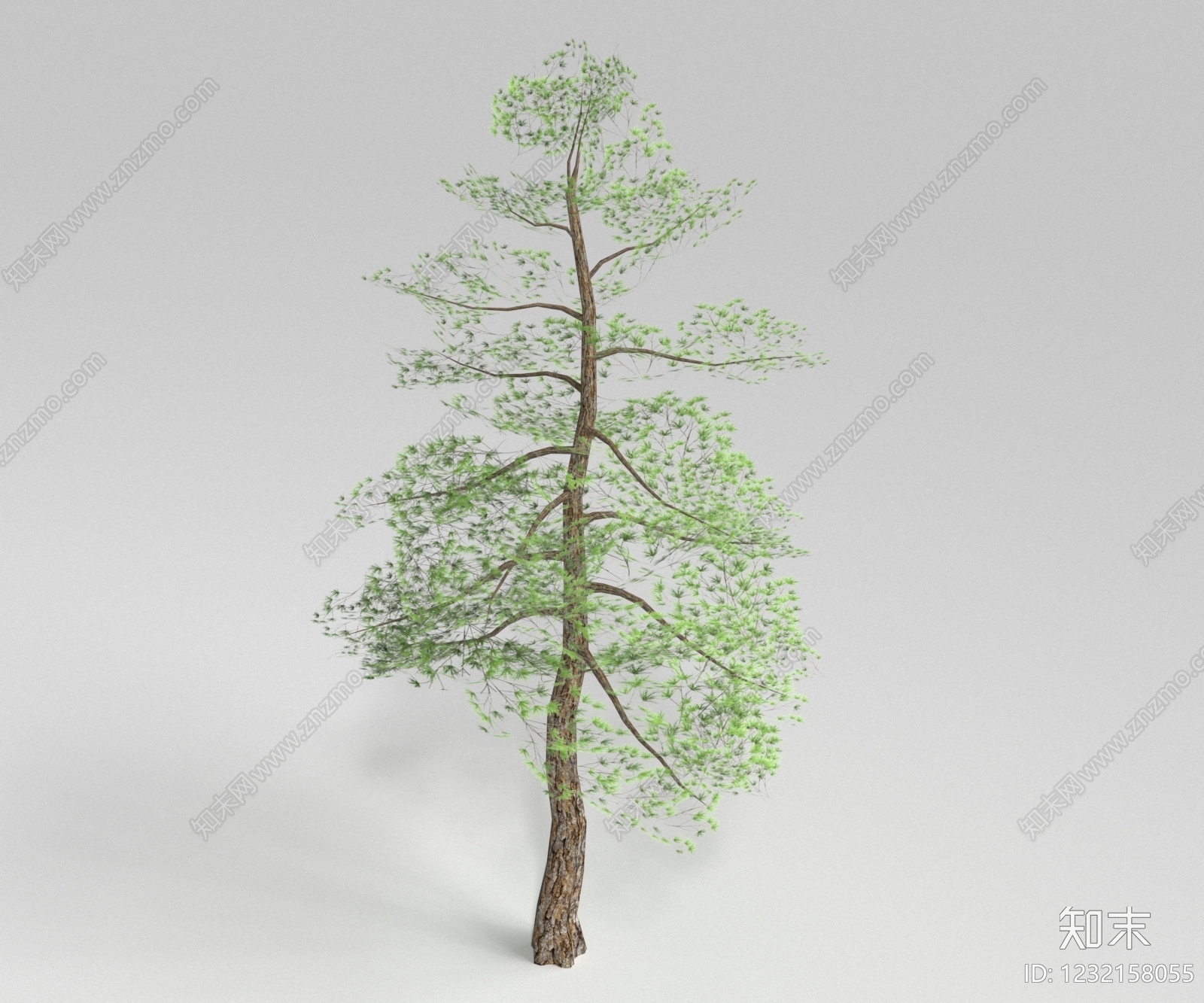 乔木3D模型下载【ID:1232158055】
