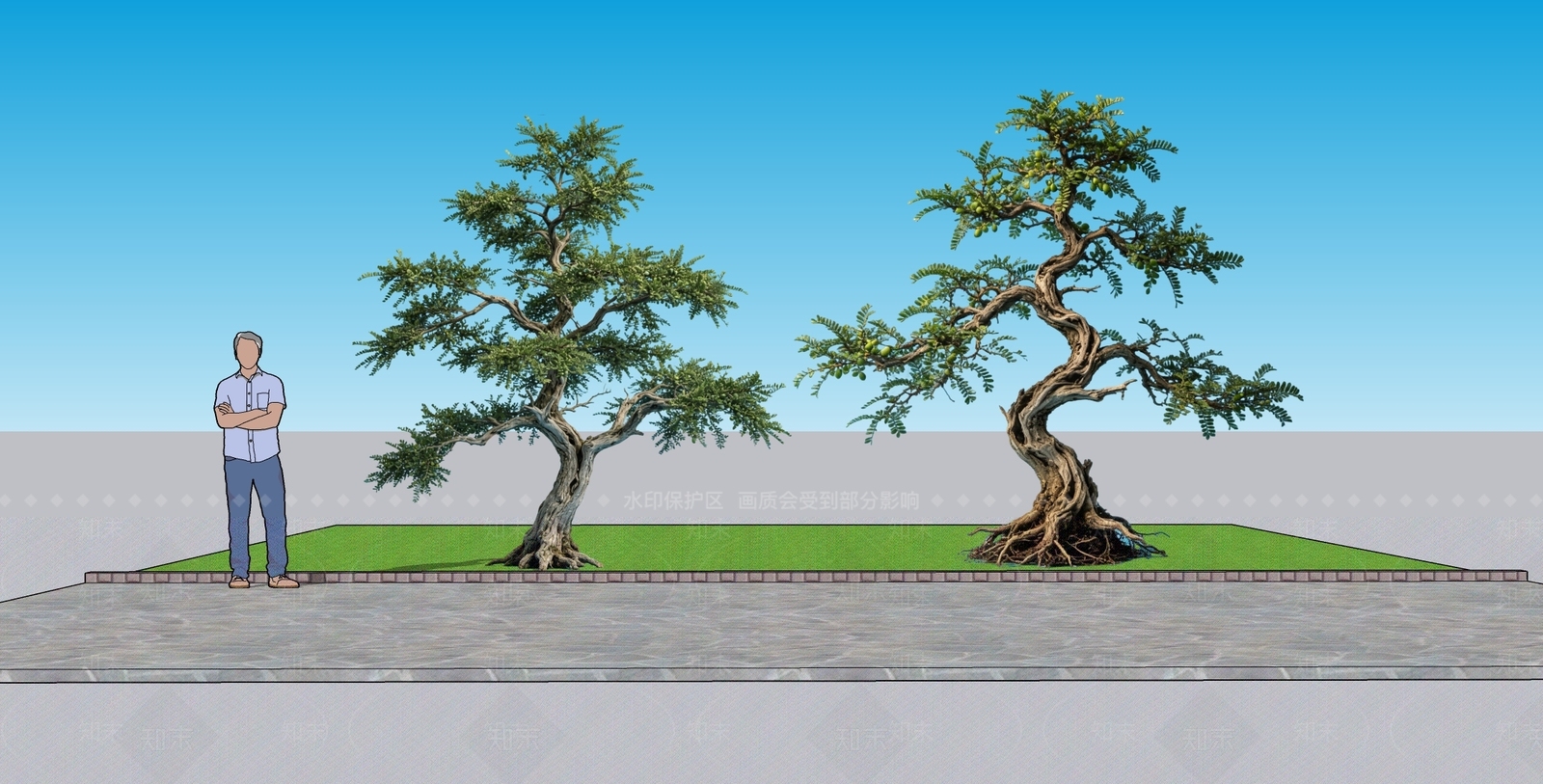 中式乔木SU模型下载【ID:1232159708】