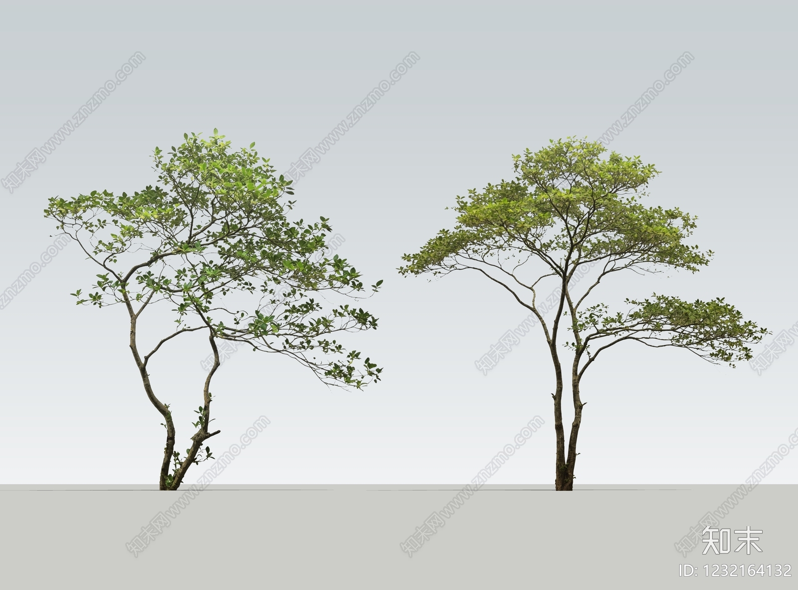 极简乔木SU模型下载【ID:1232164132】