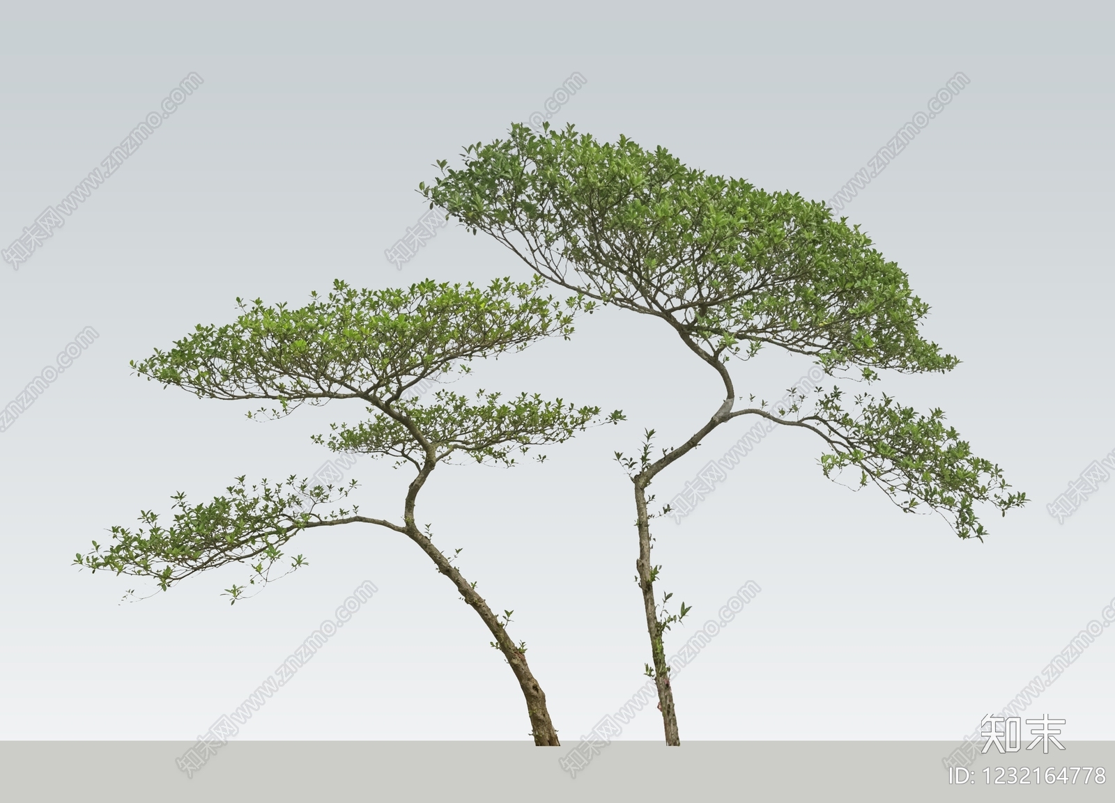 禅意灌木SU模型下载【ID:1232164778】