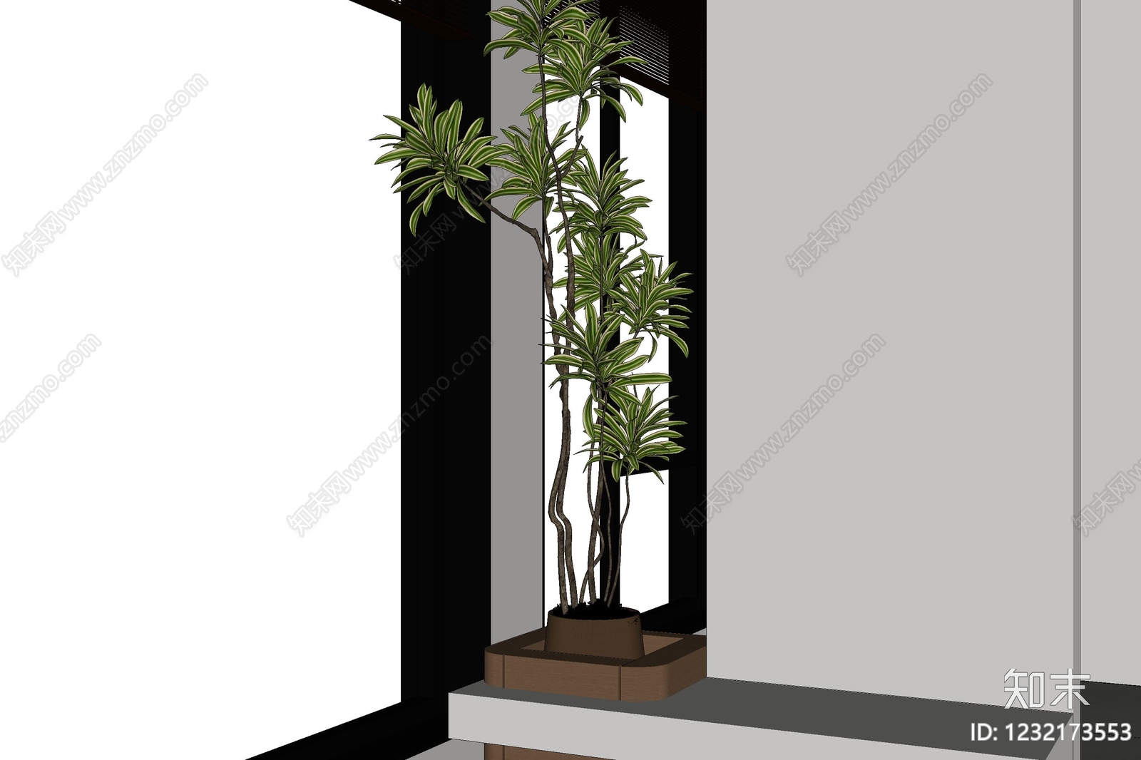 现代简约盆栽SU模型下载【ID:1232173553】