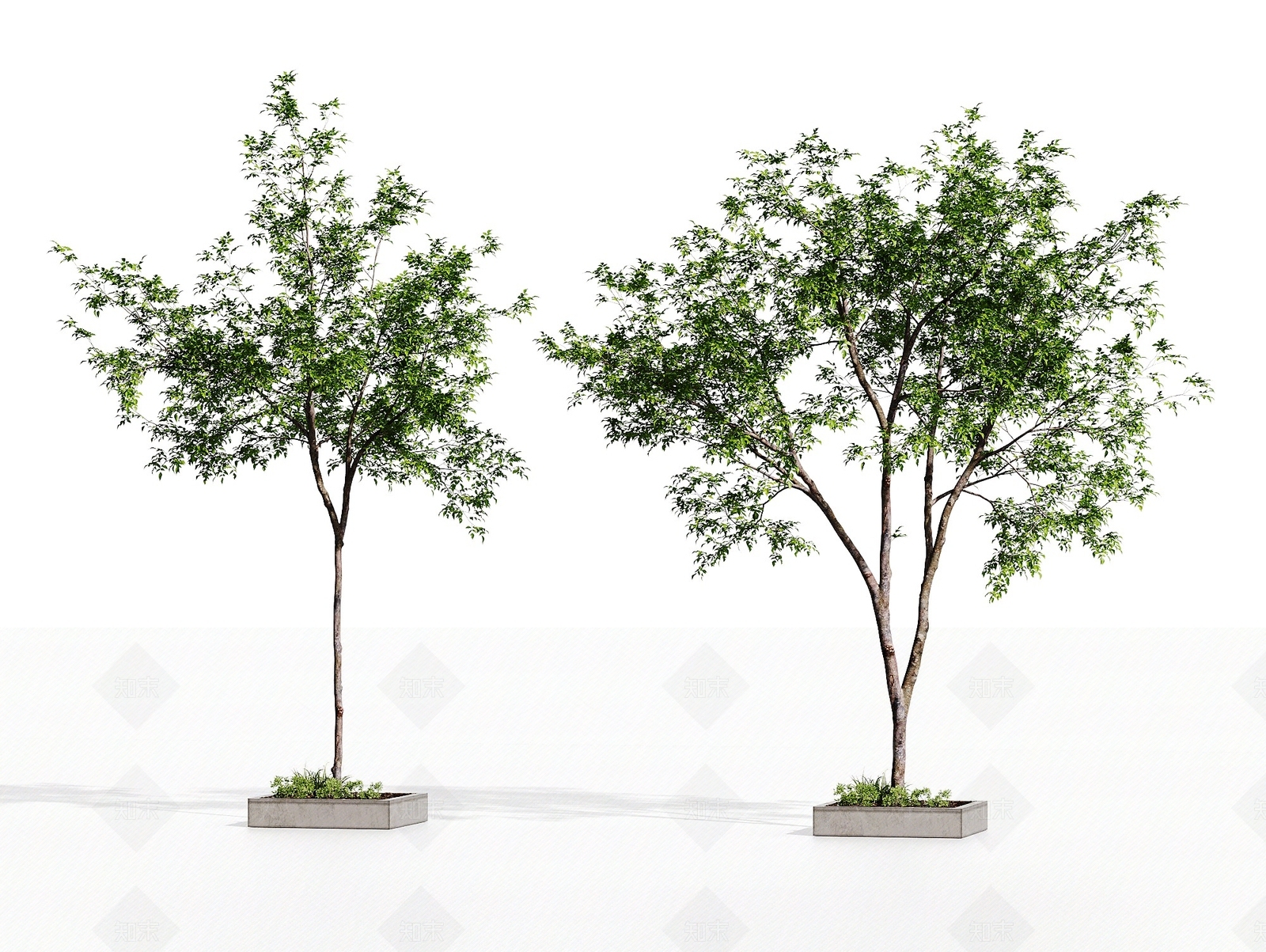 现代主义景观树3D模型下载【ID:1232176688】