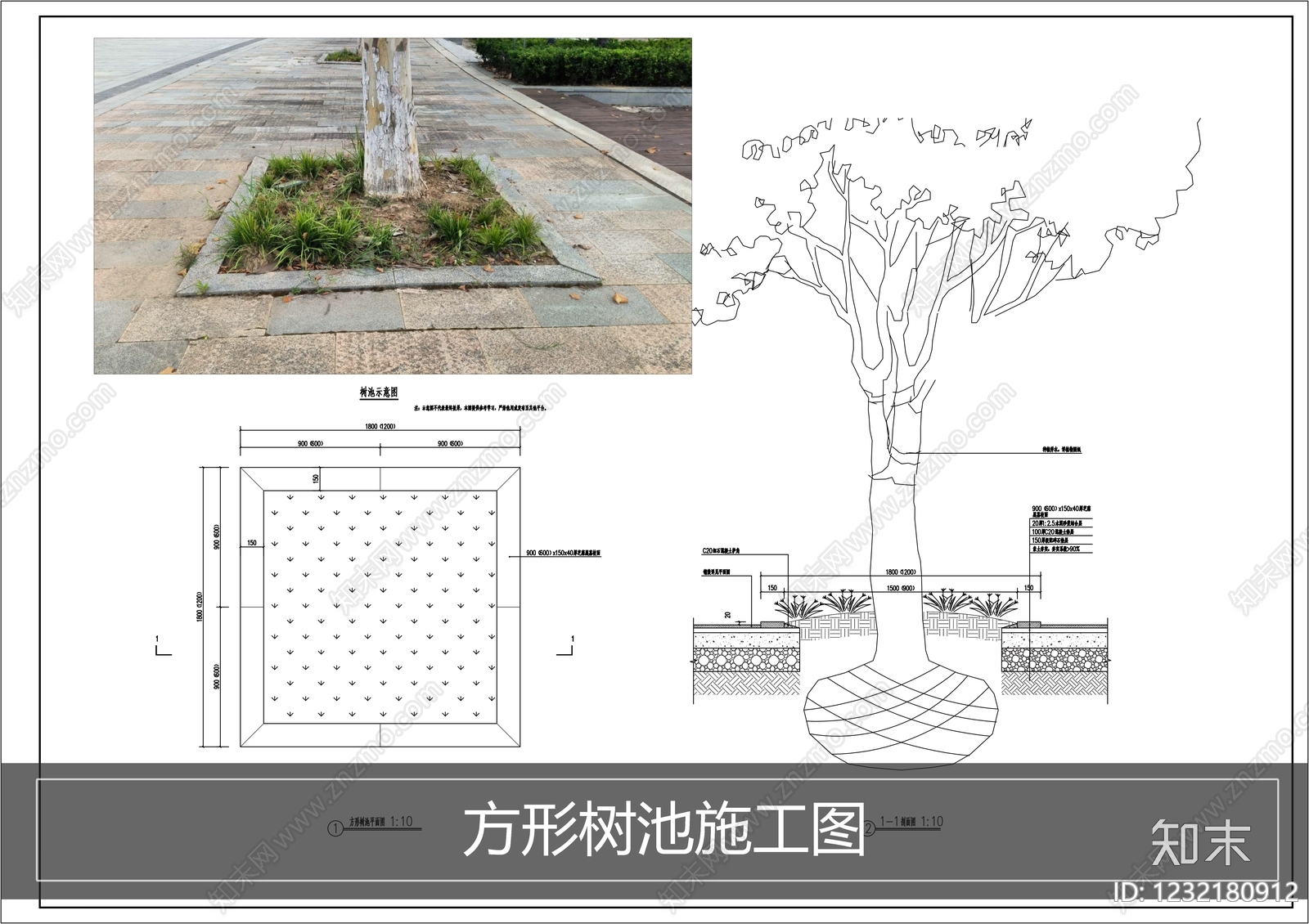 树池CAD图纸