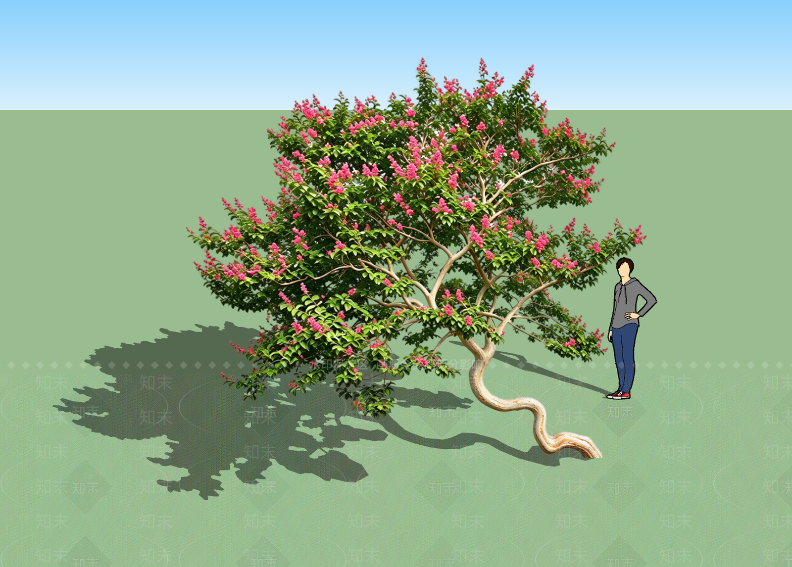 乔木SU模型下载【ID:1232182989】