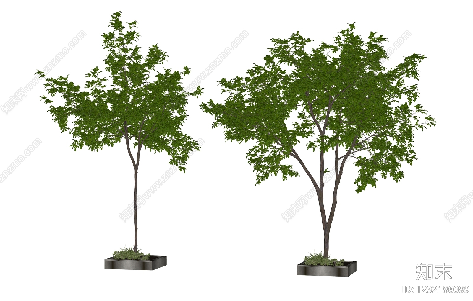 极简乔木SU模型下载【ID:1232186099】