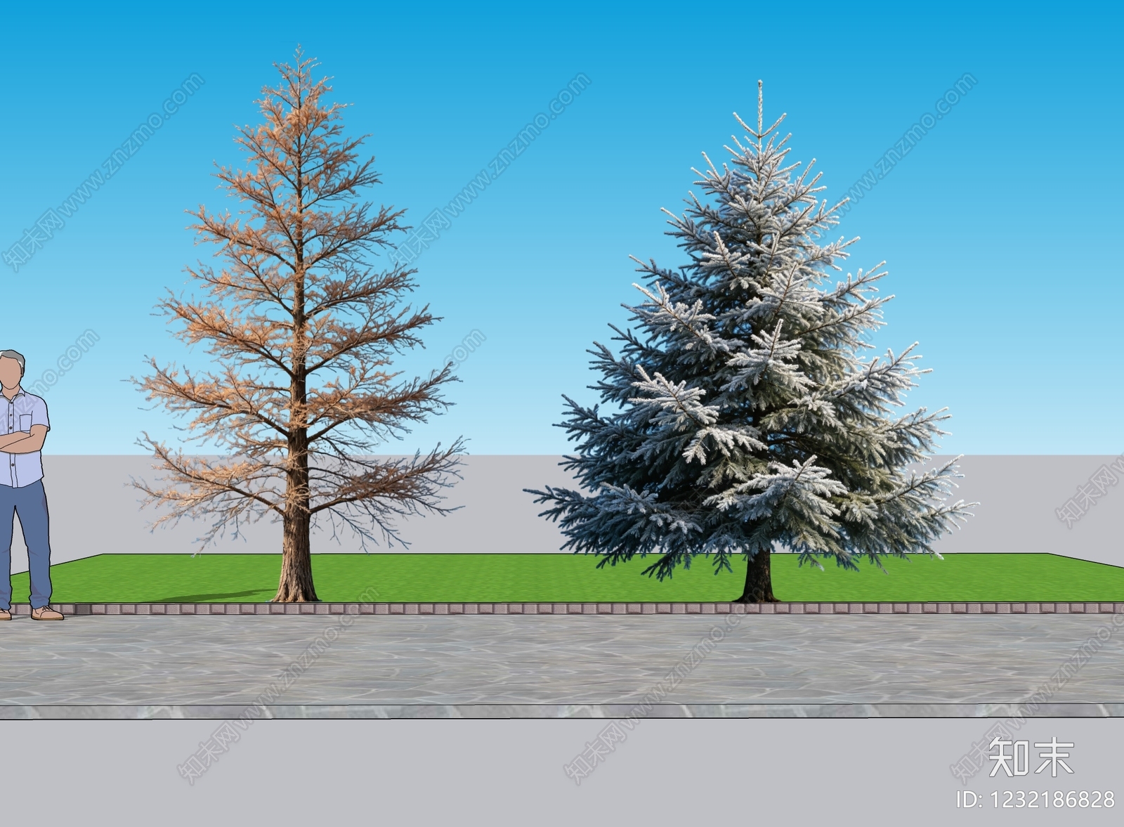 现代主义乔木SU模型下载【ID:1232186828】