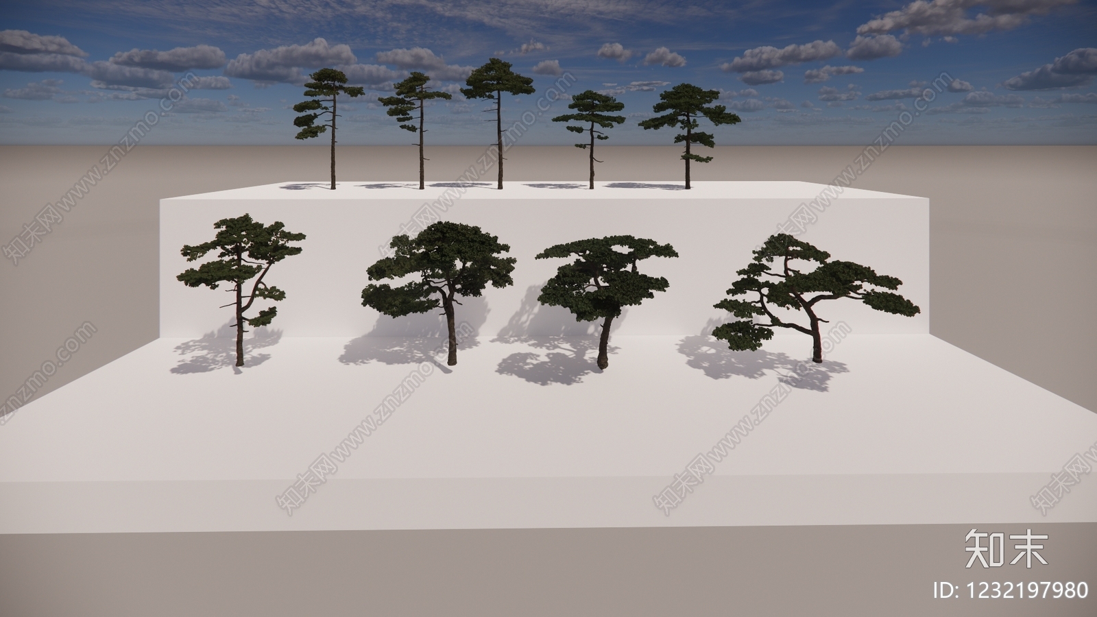 新中式景观乔木SU模型下载【ID:1232197980】