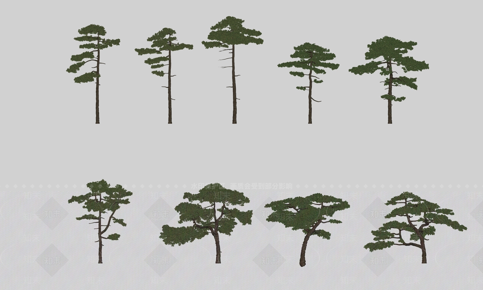 新中式景观乔木SU模型下载【ID:1232197980】
