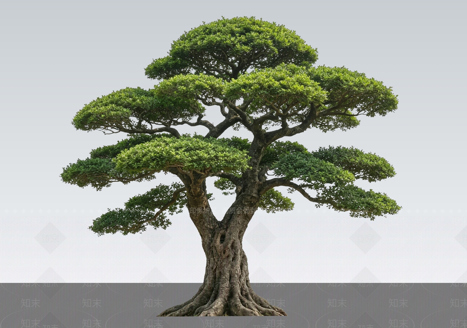 禅意盆栽SU模型下载【ID:1232200676】