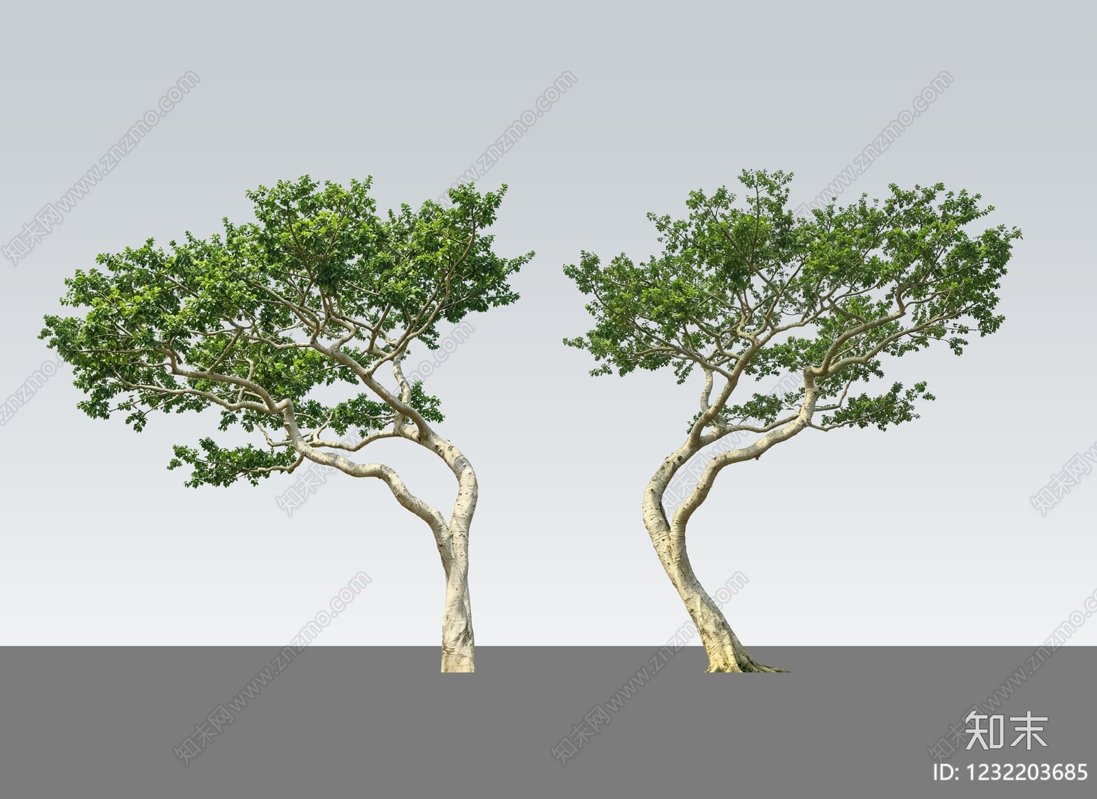 新中式景观乔木SU模型下载【ID:1232203685】