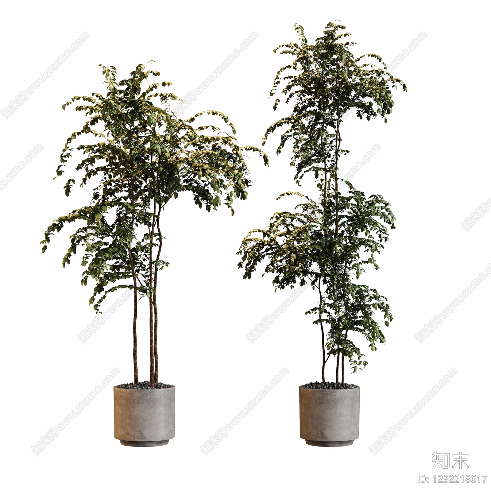 现代简约盆栽3D模型下载【ID:1232218617】