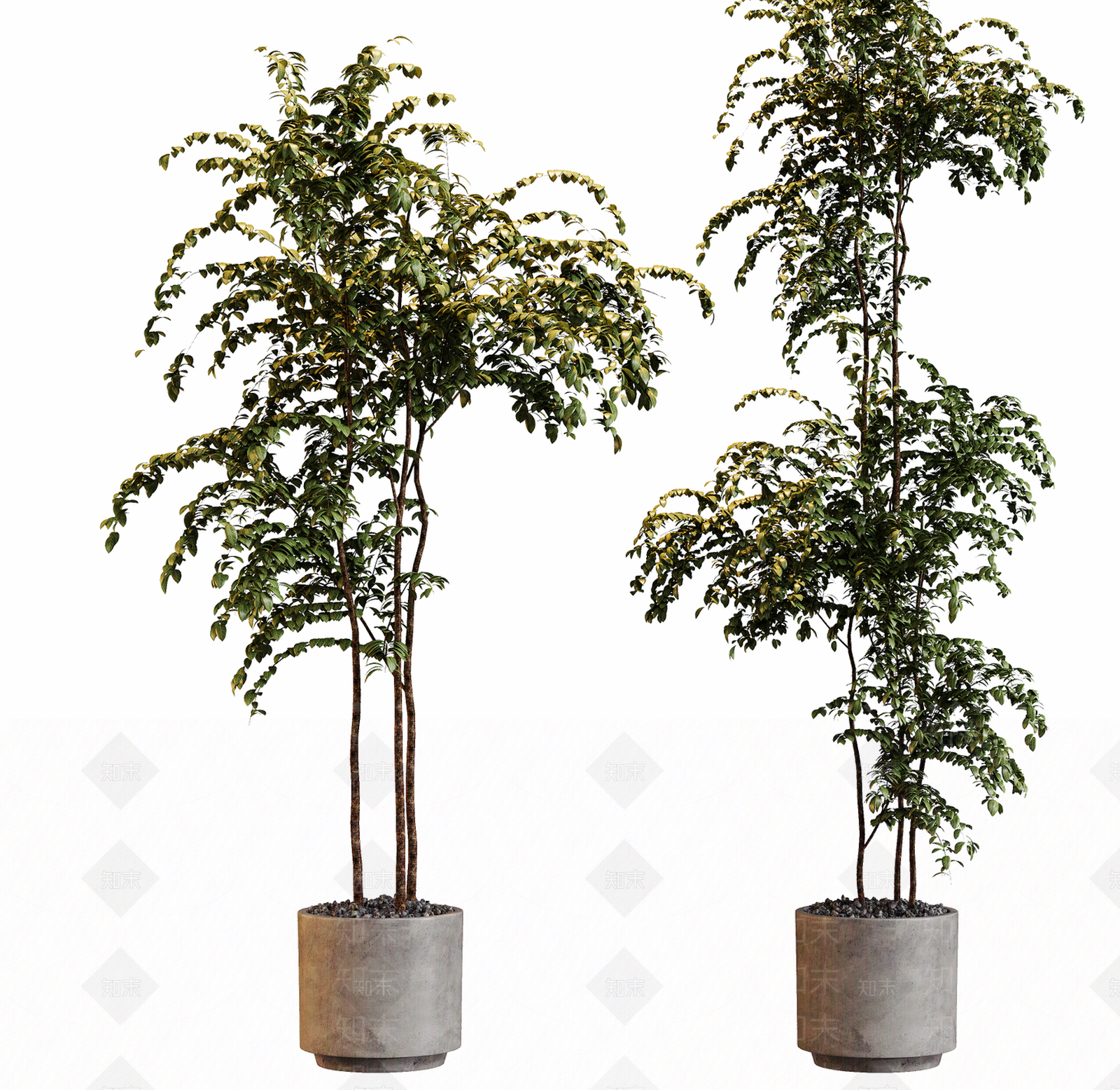 现代盆栽SU模型下载【ID:1232218940】