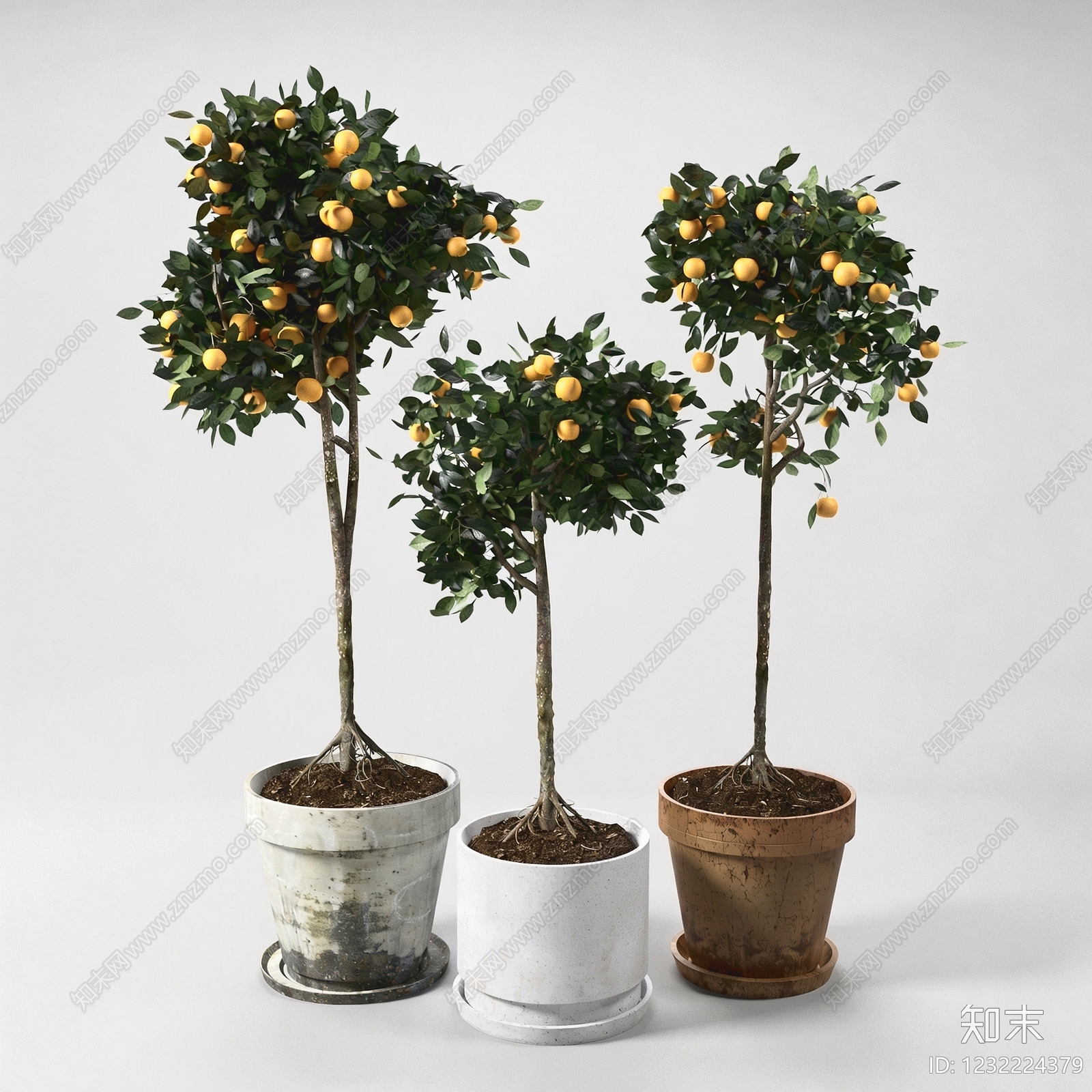侘寂盆栽3D模型下载【ID:1232224379】