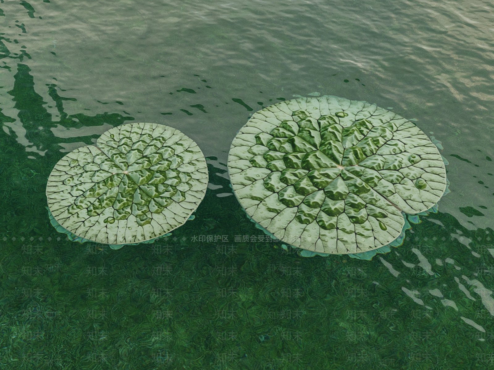 水生植物SU模型下载【ID:1232234824】