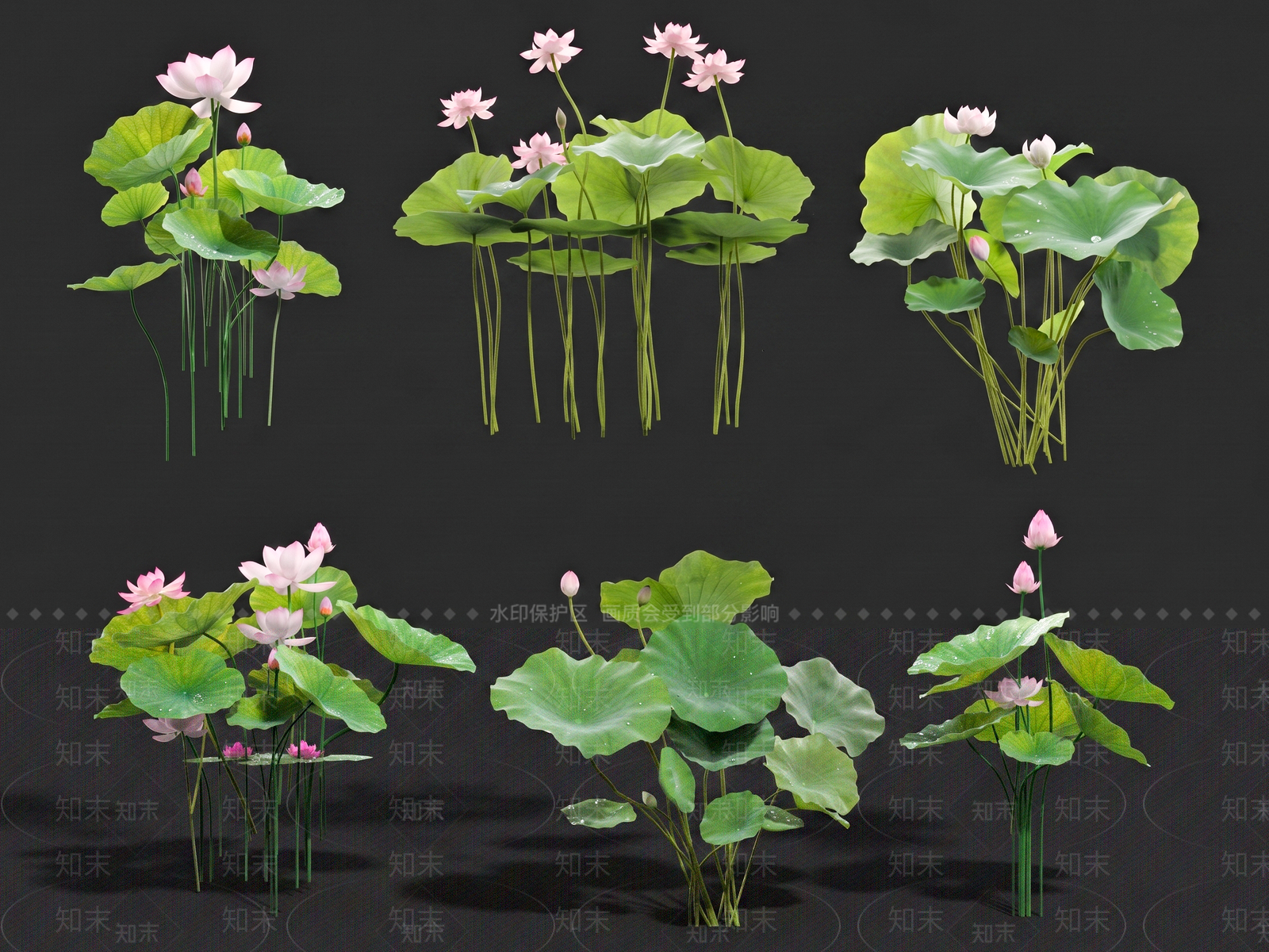 新中式水生植物SU模型下载【ID:1232253802】