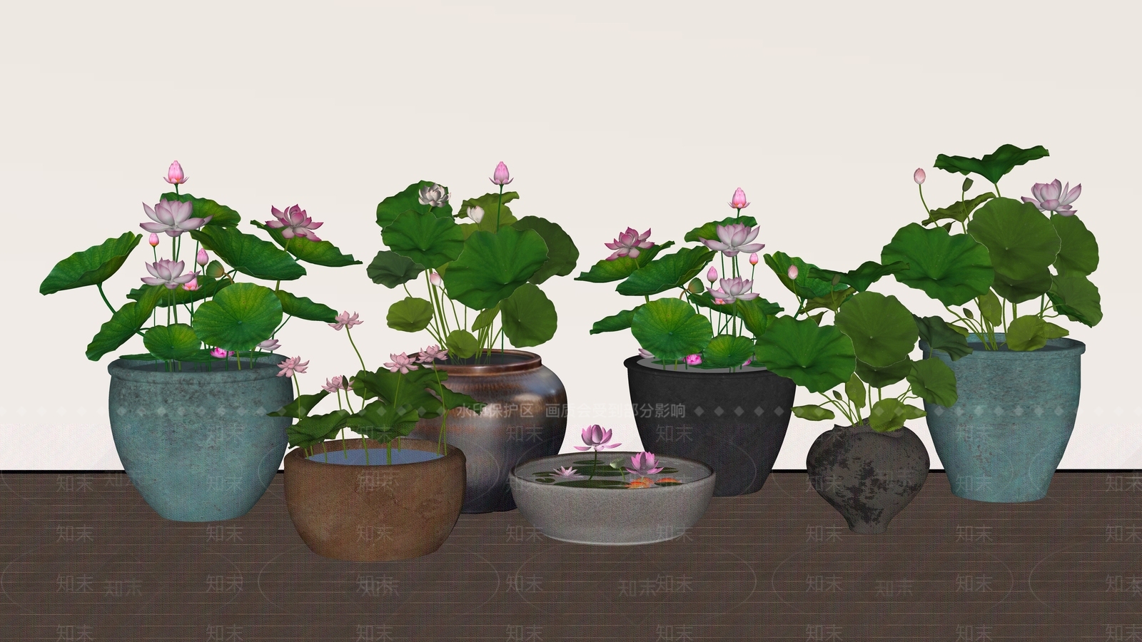 中式水生植物SU模型下载【ID:1232257527】