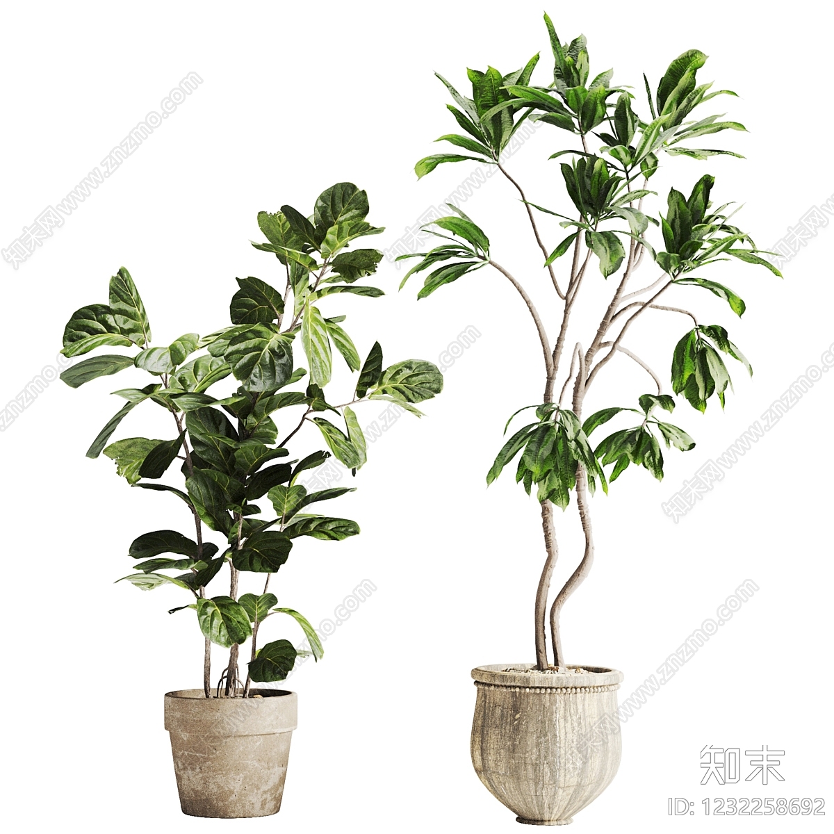 侘寂盆栽3D模型下载【ID:1232258692】