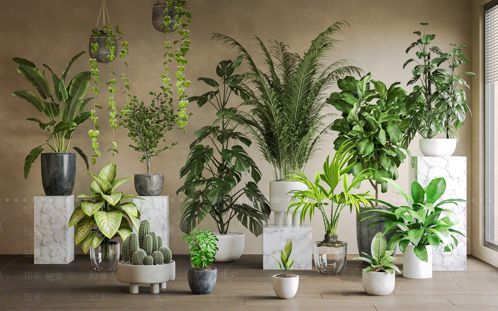 现代简约沙漠植物3D模型下载【ID:1232281518】